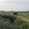 IMG_8571